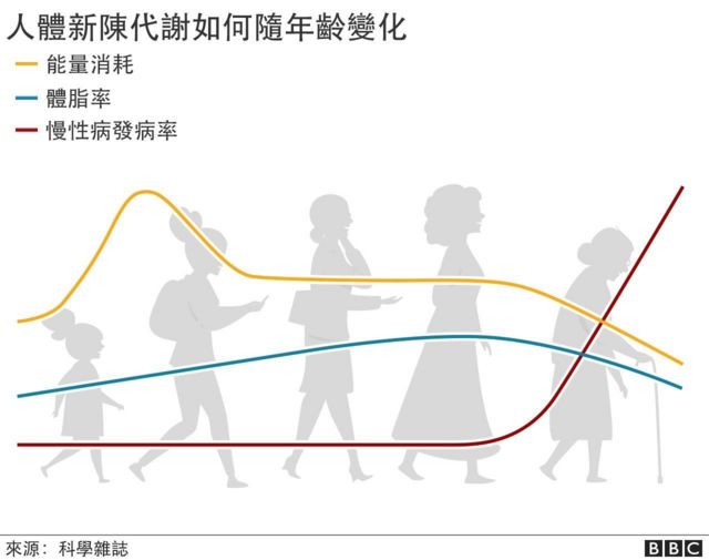 健康新知：最新研究剖析新陈代谢之谜 解开中年发福密码