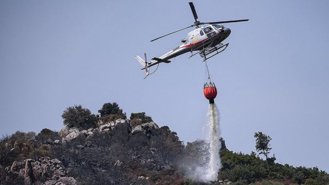 野火小常识：有关起因、防控等你需要知道的五个问题