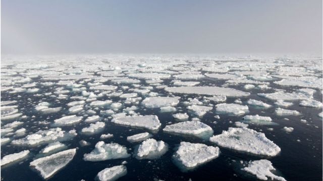 气候变化：极地变暖与冬天越来越冷之间的关联